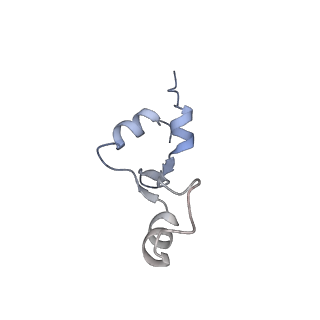16047_8bh4_d_v1-0
Elongating E. coli 70S ribosome containing deacylated tRNA(iMet) in the P-site and AAm6A mRNA codon with cognate dipeptidyl-tRNA(Lys) in the A-site