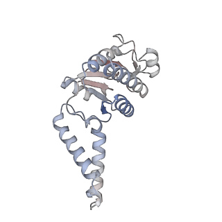 16047_8bh4_f_v1-0
Elongating E. coli 70S ribosome containing deacylated tRNA(iMet) in the P-site and AAm6A mRNA codon with cognate dipeptidyl-tRNA(Lys) in the A-site