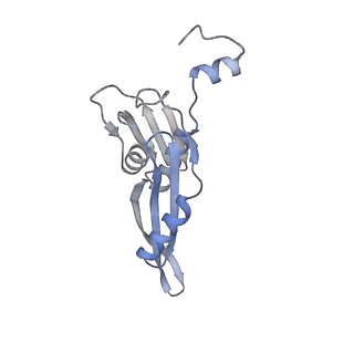 16047_8bh4_i_v1-0
Elongating E. coli 70S ribosome containing deacylated tRNA(iMet) in the P-site and AAm6A mRNA codon with cognate dipeptidyl-tRNA(Lys) in the A-site