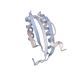 16047_8bh4_j_v1-0
Elongating E. coli 70S ribosome containing deacylated tRNA(iMet) in the P-site and AAm6A mRNA codon with cognate dipeptidyl-tRNA(Lys) in the A-site