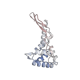 16047_8bh4_k_v1-0
Elongating E. coli 70S ribosome containing deacylated tRNA(iMet) in the P-site and AAm6A mRNA codon with cognate dipeptidyl-tRNA(Lys) in the A-site