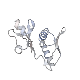 16047_8bh4_l_v1-0
Elongating E. coli 70S ribosome containing deacylated tRNA(iMet) in the P-site and AAm6A mRNA codon with cognate dipeptidyl-tRNA(Lys) in the A-site