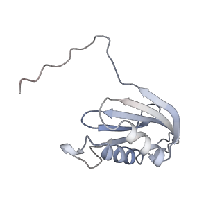 16047_8bh4_o_v1-0
Elongating E. coli 70S ribosome containing deacylated tRNA(iMet) in the P-site and AAm6A mRNA codon with cognate dipeptidyl-tRNA(Lys) in the A-site
