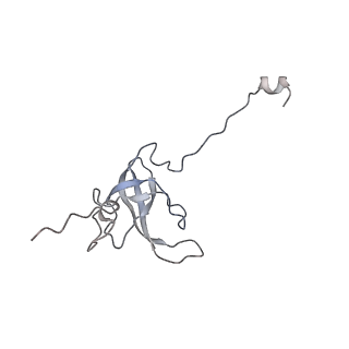 16047_8bh4_p_v1-0
Elongating E. coli 70S ribosome containing deacylated tRNA(iMet) in the P-site and AAm6A mRNA codon with cognate dipeptidyl-tRNA(Lys) in the A-site