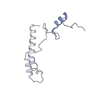 16047_8bh4_r_v1-0
Elongating E. coli 70S ribosome containing deacylated tRNA(iMet) in the P-site and AAm6A mRNA codon with cognate dipeptidyl-tRNA(Lys) in the A-site