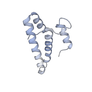 16047_8bh4_s_v1-0
Elongating E. coli 70S ribosome containing deacylated tRNA(iMet) in the P-site and AAm6A mRNA codon with cognate dipeptidyl-tRNA(Lys) in the A-site