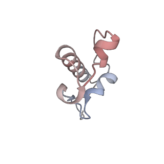 16047_8bh4_v_v1-0
Elongating E. coli 70S ribosome containing deacylated tRNA(iMet) in the P-site and AAm6A mRNA codon with cognate dipeptidyl-tRNA(Lys) in the A-site