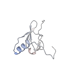 16047_8bh4_w_v1-0
Elongating E. coli 70S ribosome containing deacylated tRNA(iMet) in the P-site and AAm6A mRNA codon with cognate dipeptidyl-tRNA(Lys) in the A-site