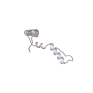 16047_8bh4_y_v1-0
Elongating E. coli 70S ribosome containing deacylated tRNA(iMet) in the P-site and AAm6A mRNA codon with cognate dipeptidyl-tRNA(Lys) in the A-site