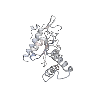 16048_8bh6_b_v1-1
Mature 30S ribosomal subunit from Staphylococcus aureus