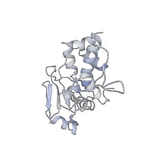16048_8bh6_d_v1-1
Mature 30S ribosomal subunit from Staphylococcus aureus