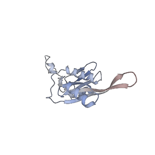 16048_8bh6_e_v1-1
Mature 30S ribosomal subunit from Staphylococcus aureus