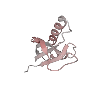 16048_8bh6_f_v1-1
Mature 30S ribosomal subunit from Staphylococcus aureus