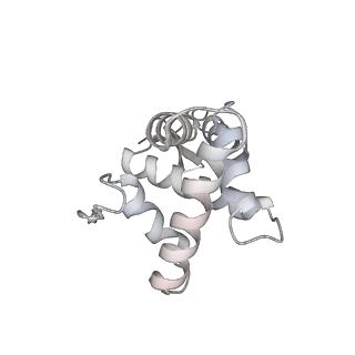 16048_8bh6_g_v1-1
Mature 30S ribosomal subunit from Staphylococcus aureus