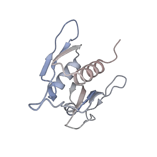 16048_8bh6_h_v1-1
Mature 30S ribosomal subunit from Staphylococcus aureus