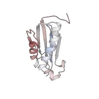 16048_8bh6_k_v1-1
Mature 30S ribosomal subunit from Staphylococcus aureus