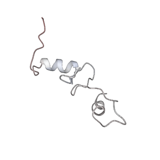 16048_8bh6_n_v1-1
Mature 30S ribosomal subunit from Staphylococcus aureus