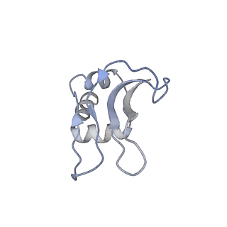 16048_8bh6_p_v1-1
Mature 30S ribosomal subunit from Staphylococcus aureus