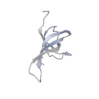 16048_8bh6_q_v1-1
Mature 30S ribosomal subunit from Staphylococcus aureus