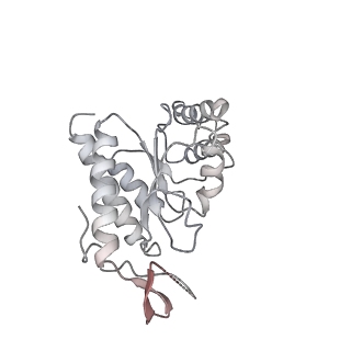 16049_8bh7_b_v1-1
The complex of immature 30S ribosomal subunit with Ribosome maturation factor P (RimP) from Staphylococcus aureus