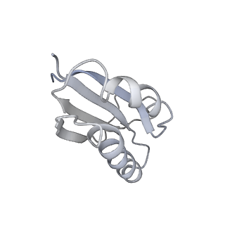 16049_8bh7_f_v1-1
The complex of immature 30S ribosomal subunit with Ribosome maturation factor P (RimP) from Staphylococcus aureus