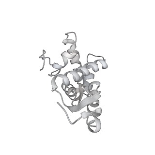 16049_8bh7_g_v1-1
The complex of immature 30S ribosomal subunit with Ribosome maturation factor P (RimP) from Staphylococcus aureus