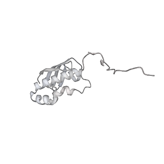 16049_8bh7_i_v1-1
The complex of immature 30S ribosomal subunit with Ribosome maturation factor P (RimP) from Staphylococcus aureus