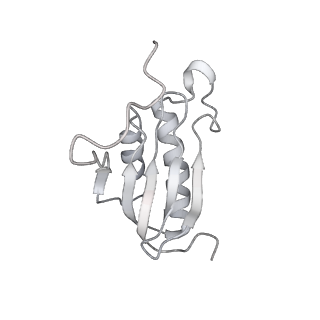 16049_8bh7_k_v1-1
The complex of immature 30S ribosomal subunit with Ribosome maturation factor P (RimP) from Staphylococcus aureus