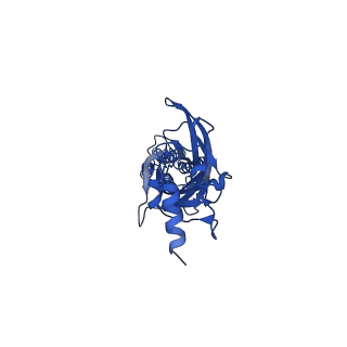 16050_8bha_B_v1-3
GABA-A receptor a5 homomer - a5V3 - Basmisanil - HR