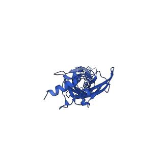 16050_8bha_C_v1-3
GABA-A receptor a5 homomer - a5V3 - Basmisanil - HR