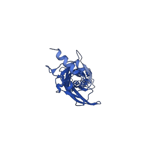 16050_8bha_D_v1-3
GABA-A receptor a5 homomer - a5V3 - Basmisanil - HR