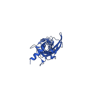 16051_8bhb_A_v1-3
GABA-A receptor a5 homomer - a5V3 - RO154513