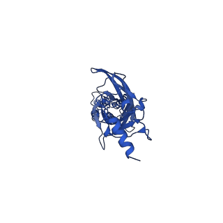 16051_8bhb_E_v1-3
GABA-A receptor a5 homomer - a5V3 - RO154513
