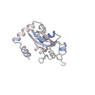 16052_8bhf_A1_v1-2
Cryo-EM structure of stalled rabbit 80S ribosomes in complex with human CCR4-NOT and CNOT4