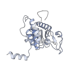 16052_8bhf_B3_v1-2
Cryo-EM structure of stalled rabbit 80S ribosomes in complex with human CCR4-NOT and CNOT4