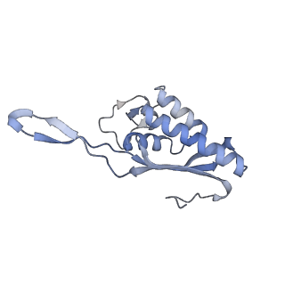 16052_8bhf_C1_v1-2
Cryo-EM structure of stalled rabbit 80S ribosomes in complex with human CCR4-NOT and CNOT4