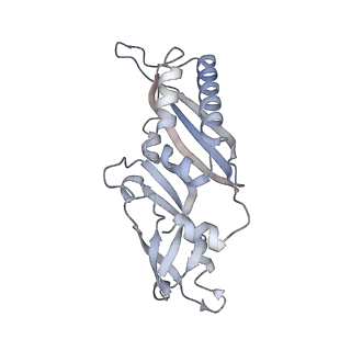 16052_8bhf_C3_v1-2
Cryo-EM structure of stalled rabbit 80S ribosomes in complex with human CCR4-NOT and CNOT4