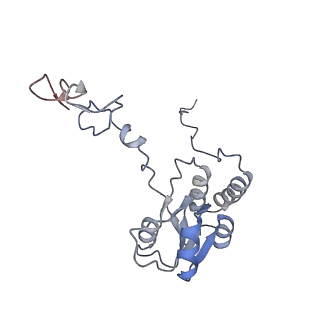 16052_8bhf_D1_v1-2
Cryo-EM structure of stalled rabbit 80S ribosomes in complex with human CCR4-NOT and CNOT4