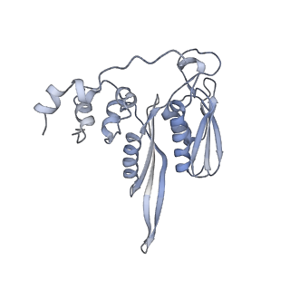 16052_8bhf_D3_v1-2
Cryo-EM structure of stalled rabbit 80S ribosomes in complex with human CCR4-NOT and CNOT4