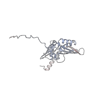 16052_8bhf_E3_v1-2
Cryo-EM structure of stalled rabbit 80S ribosomes in complex with human CCR4-NOT and CNOT4