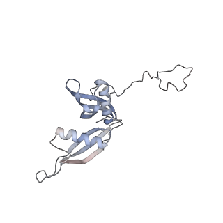 16052_8bhf_F1_v1-2
Cryo-EM structure of stalled rabbit 80S ribosomes in complex with human CCR4-NOT and CNOT4