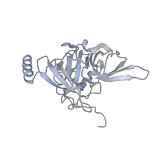 16052_8bhf_F3_v1-2
Cryo-EM structure of stalled rabbit 80S ribosomes in complex with human CCR4-NOT and CNOT4