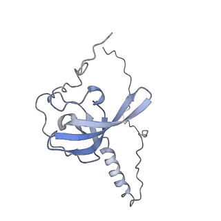 16052_8bhf_G1_v1-2
Cryo-EM structure of stalled rabbit 80S ribosomes in complex with human CCR4-NOT and CNOT4