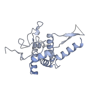 16052_8bhf_G3_v1-2
Cryo-EM structure of stalled rabbit 80S ribosomes in complex with human CCR4-NOT and CNOT4