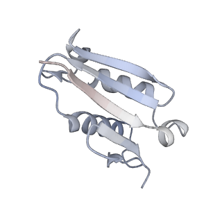 16052_8bhf_H1_v1-2
Cryo-EM structure of stalled rabbit 80S ribosomes in complex with human CCR4-NOT and CNOT4