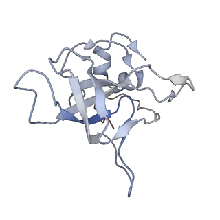 16052_8bhf_I1_v1-2
Cryo-EM structure of stalled rabbit 80S ribosomes in complex with human CCR4-NOT and CNOT4