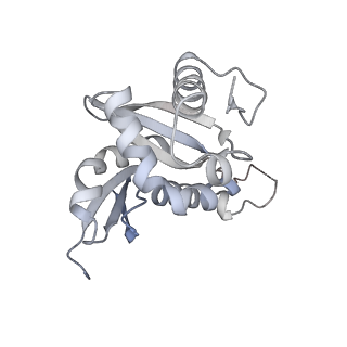 16052_8bhf_I3_v1-2
Cryo-EM structure of stalled rabbit 80S ribosomes in complex with human CCR4-NOT and CNOT4