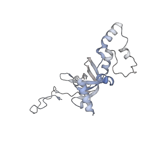 16052_8bhf_J3_v1-2
Cryo-EM structure of stalled rabbit 80S ribosomes in complex with human CCR4-NOT and CNOT4
