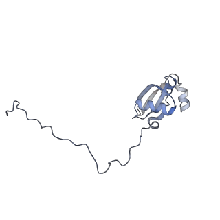 16052_8bhf_K1_v1-2
Cryo-EM structure of stalled rabbit 80S ribosomes in complex with human CCR4-NOT and CNOT4