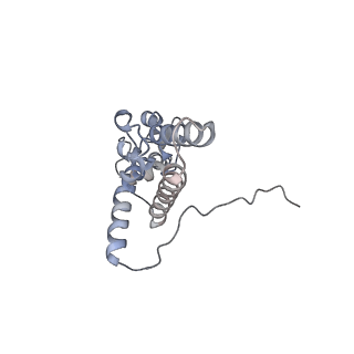 16052_8bhf_K3_v1-2
Cryo-EM structure of stalled rabbit 80S ribosomes in complex with human CCR4-NOT and CNOT4